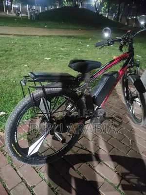 ইলেকট্রিক বাইসাইকেল