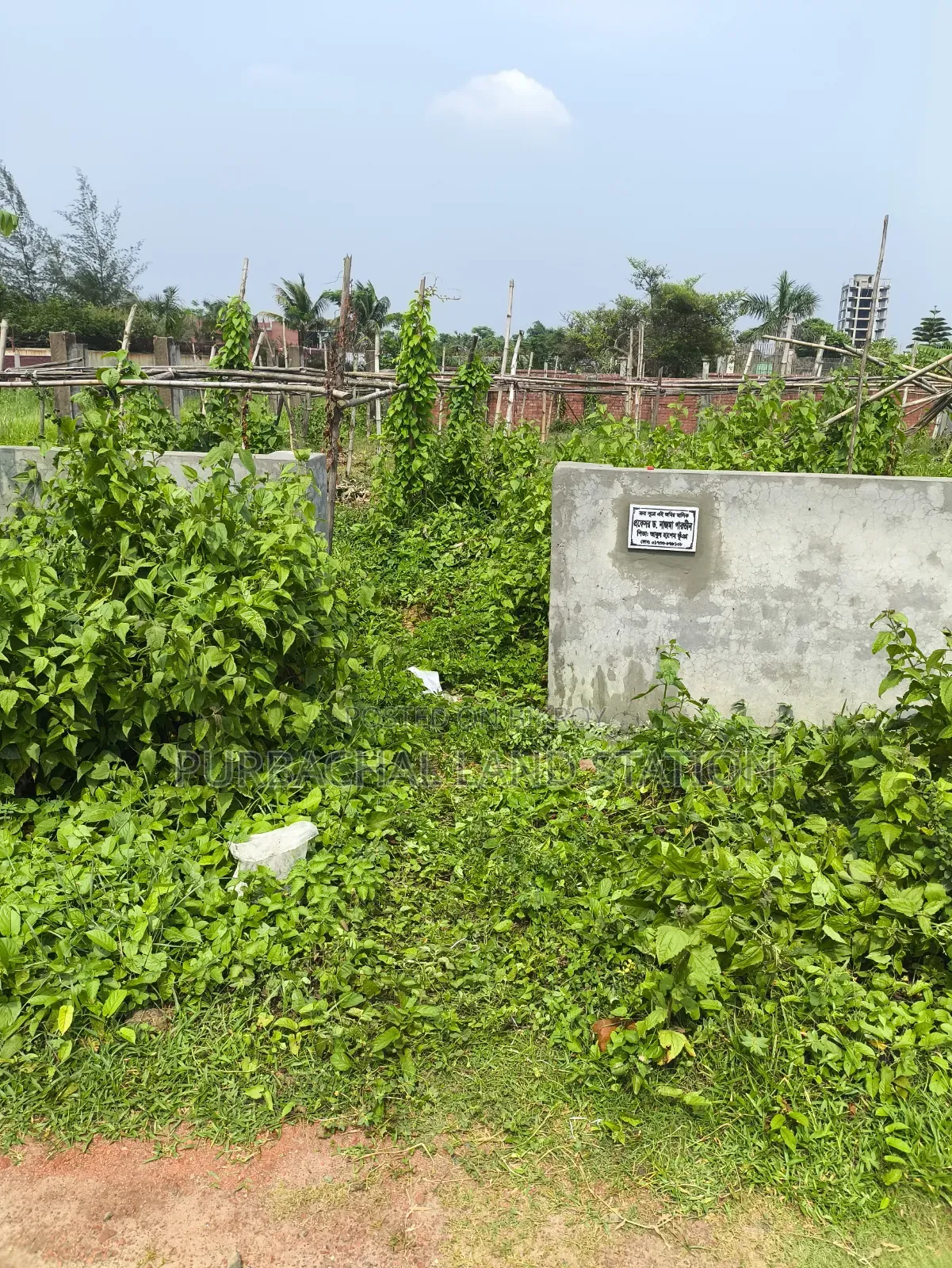 Sector:13, Eastface Prime Location 3 Katha Plot Urgent Sale in Purbachal