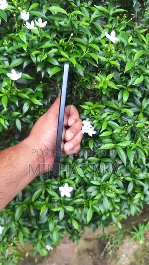 New iQOO 256 GB Black