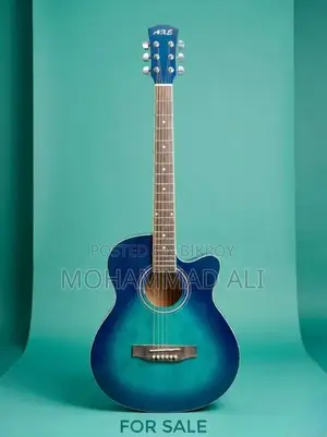 New Guitar