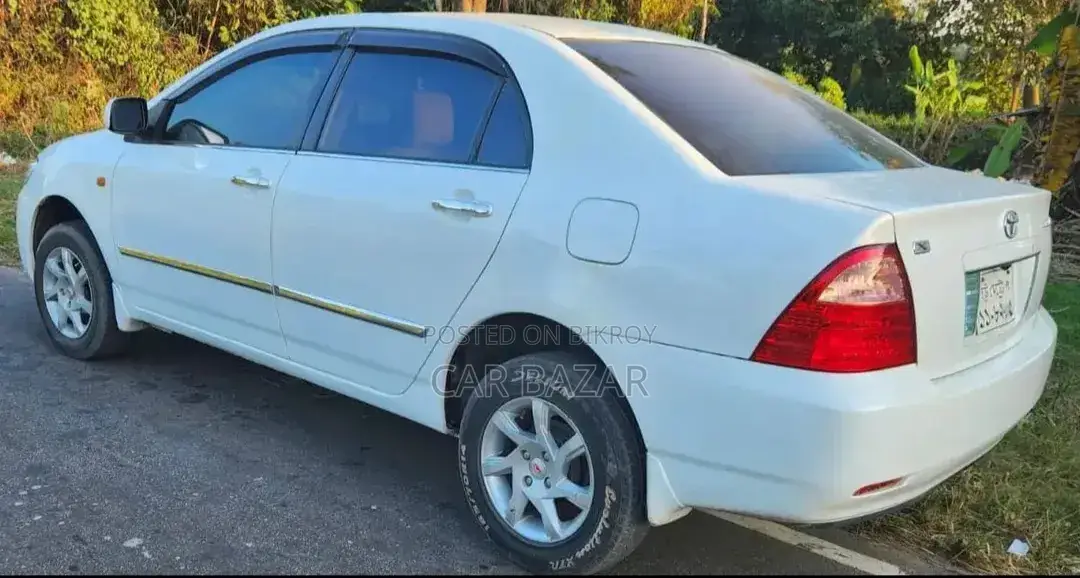 Toyota Corolla 2004 White