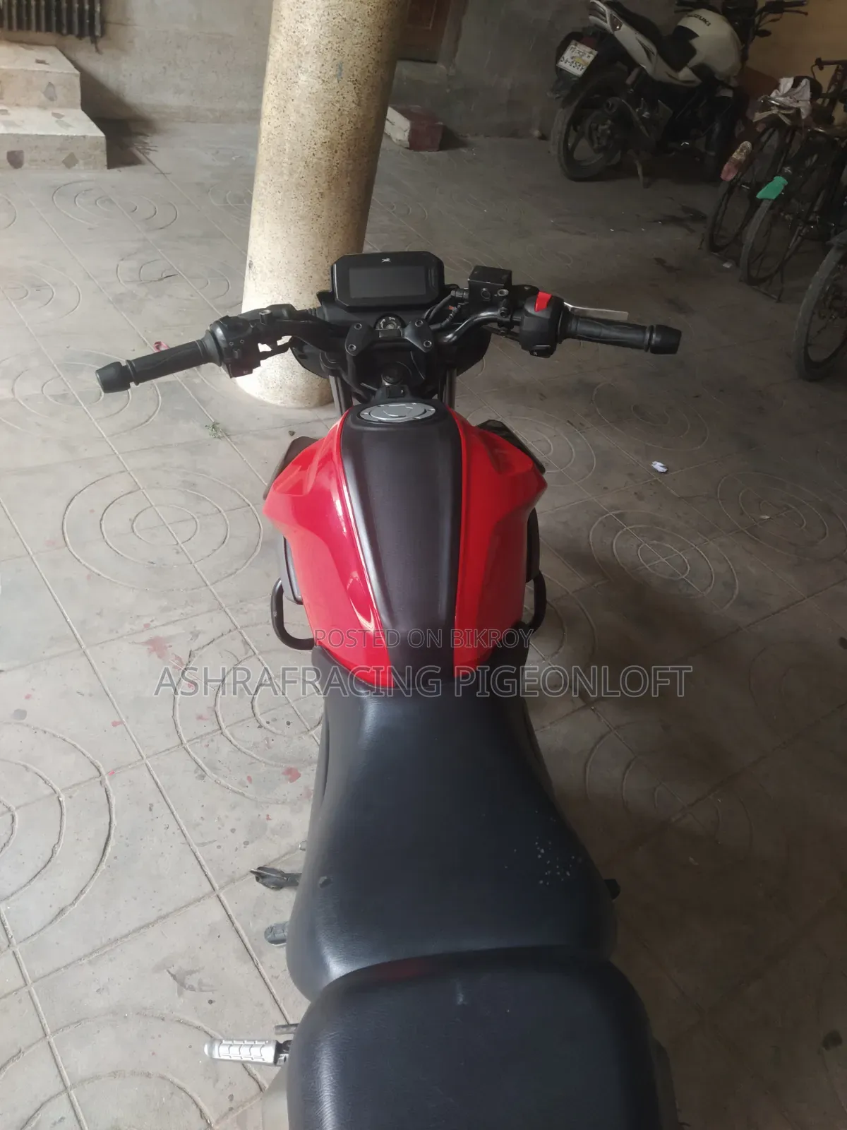 TVS Raider 125 2024 Red