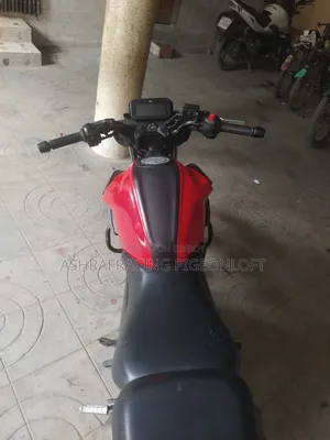 TVS Raider 125 2024 Red