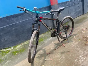Phonix Oil Brake Cycle