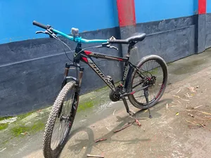 Phonix Oil Brake Cycle