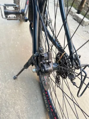 Phonix Oil Brake Cycle
