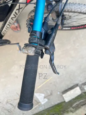 Phonix Oil Brake Cycle