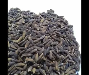 Black Rice