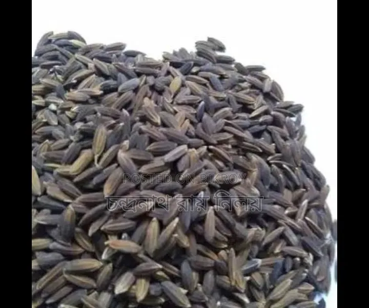 Black Rice