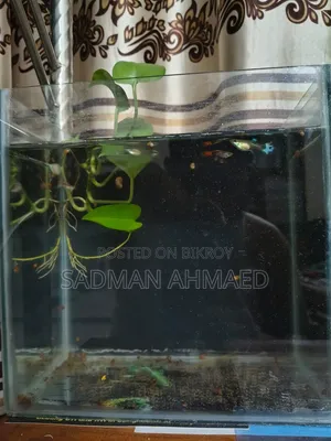 একটি একুরিয়াম বিক্রি করা হবে