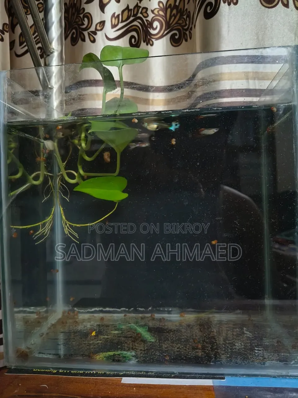 একটি একুরিয়াম বিক্রি করা হবে