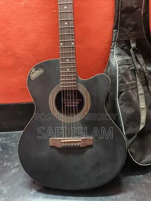 Signature Brand Guitar for Sale