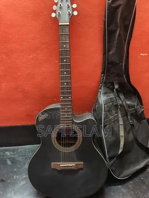 Signature Brand Guitar for Sale