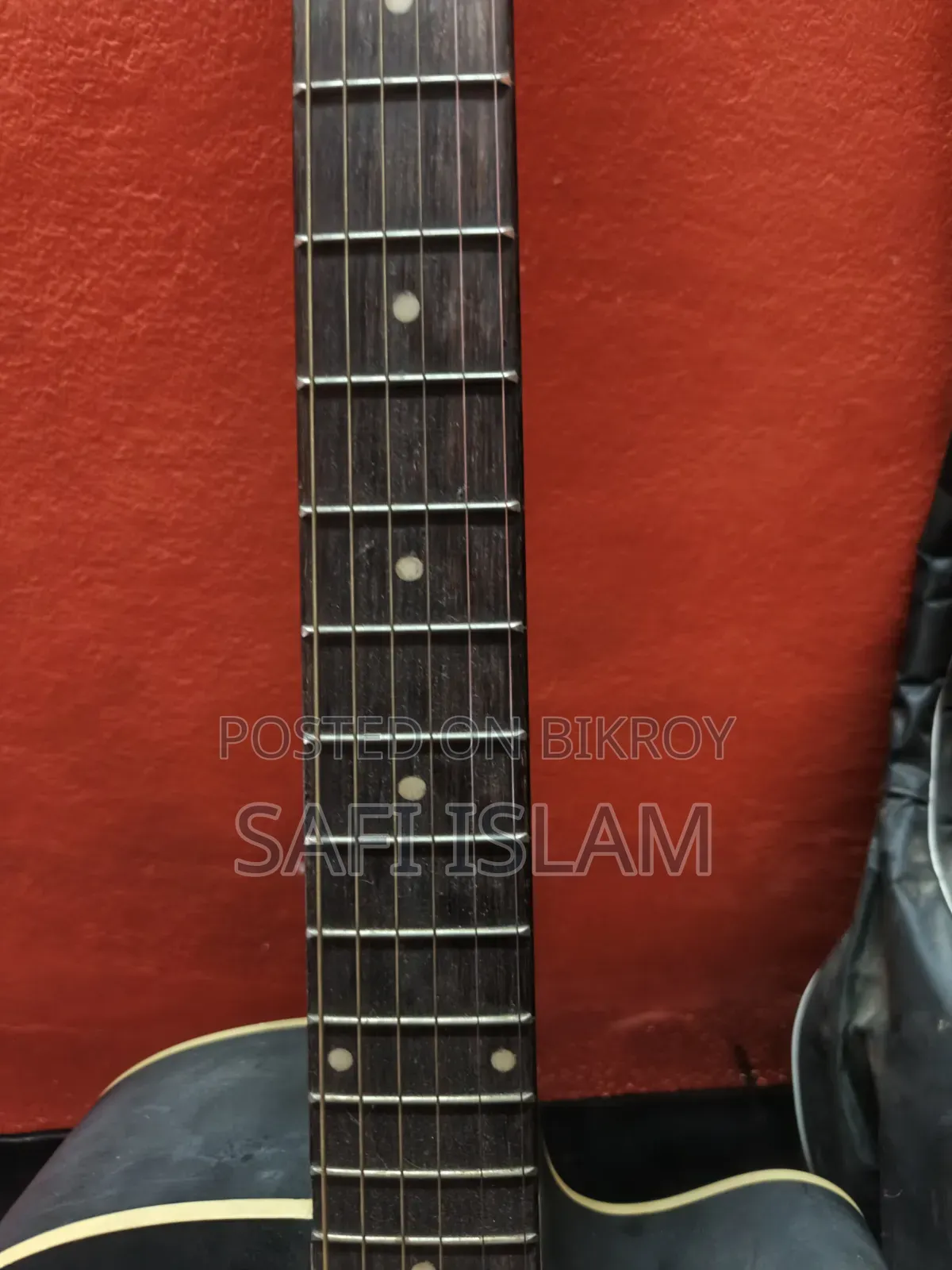 Signature Brand Guitar for Sale
