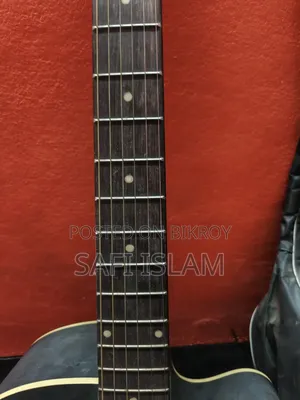 Signature Brand Guitar for Sale
