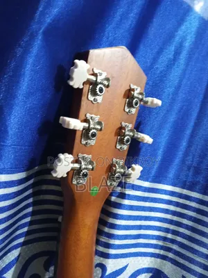 Mantic Gt-1gc Acoustic Guitar
