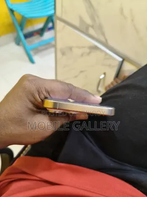 অ্যাপল আইফোন ১৬ প্রো ম্যাক্স ২৫৬ জিবি রোজ গোল্ড