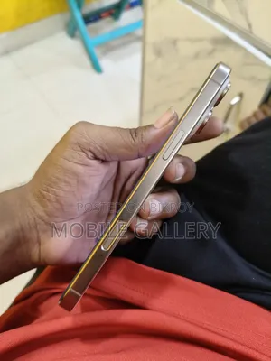 অ্যাপল আইফোন ১৬ প্রো ম্যাক্স ২৫৬ জিবি রোজ গোল্ড