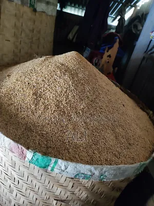 Paddy Sale
