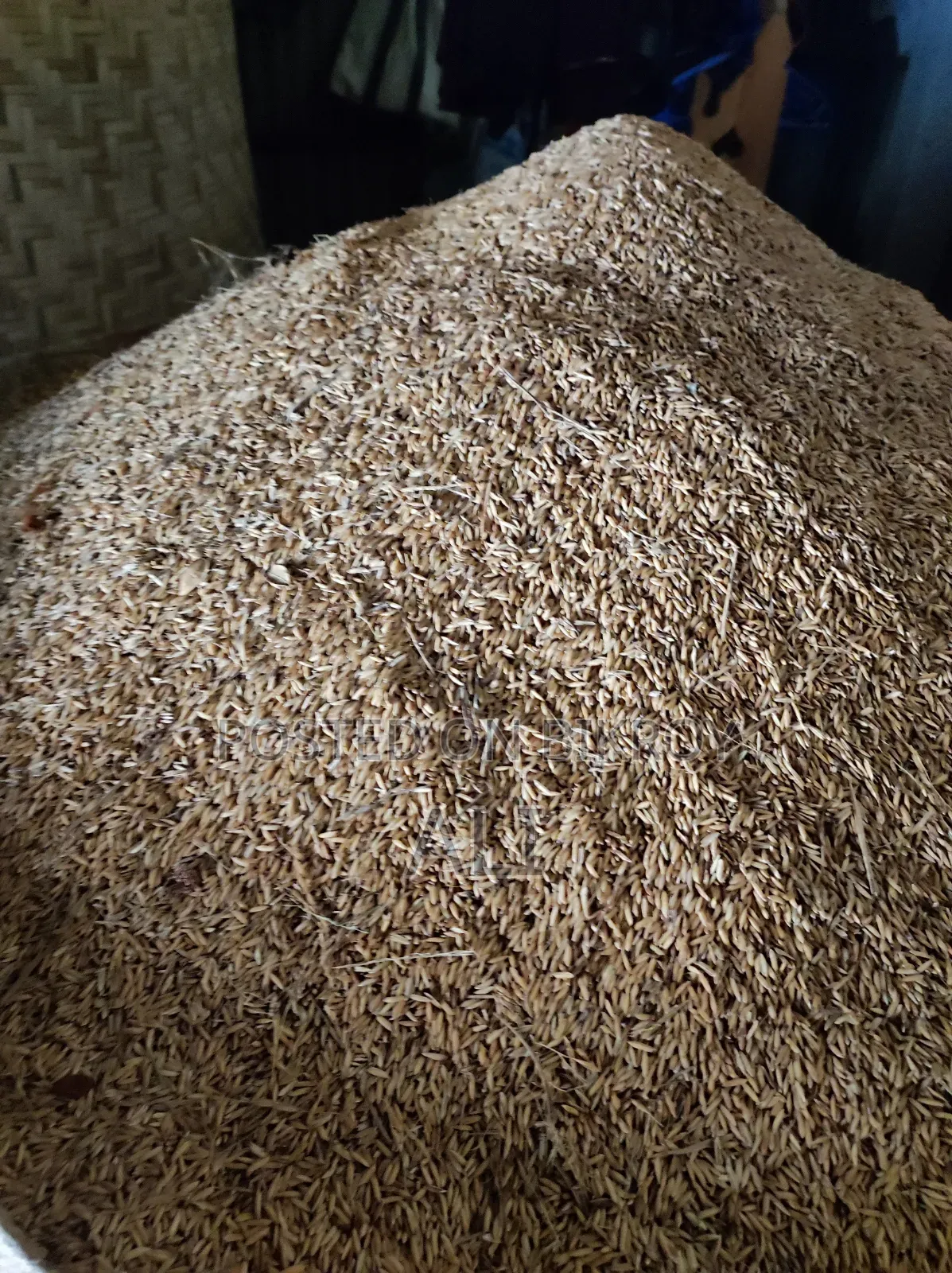 Paddy Sale