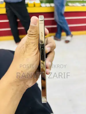 EL 256 GB Gold