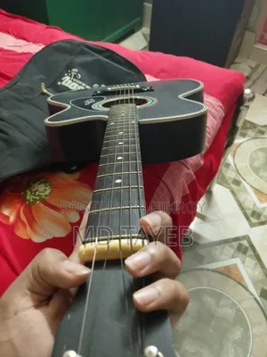 Argent Sell Guitar