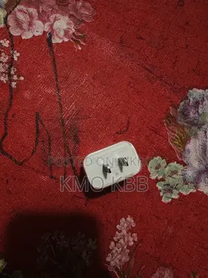 20W Apple Charger 2-Pin