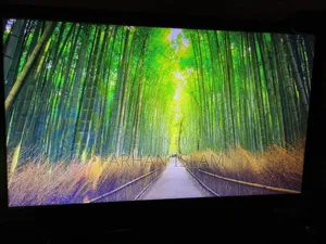 Walton 60hz Monitor.