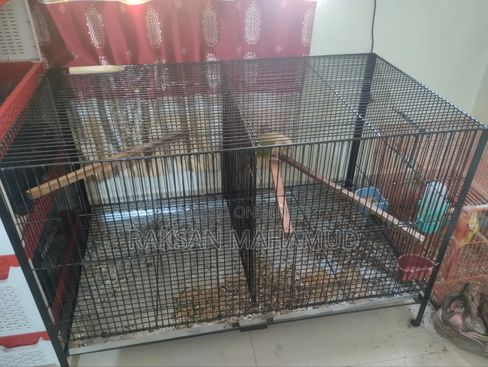 Bird Cage
