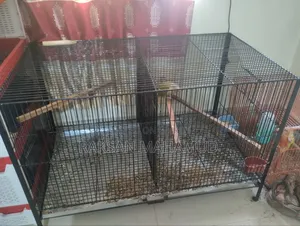 Bird Cage(খাছা)