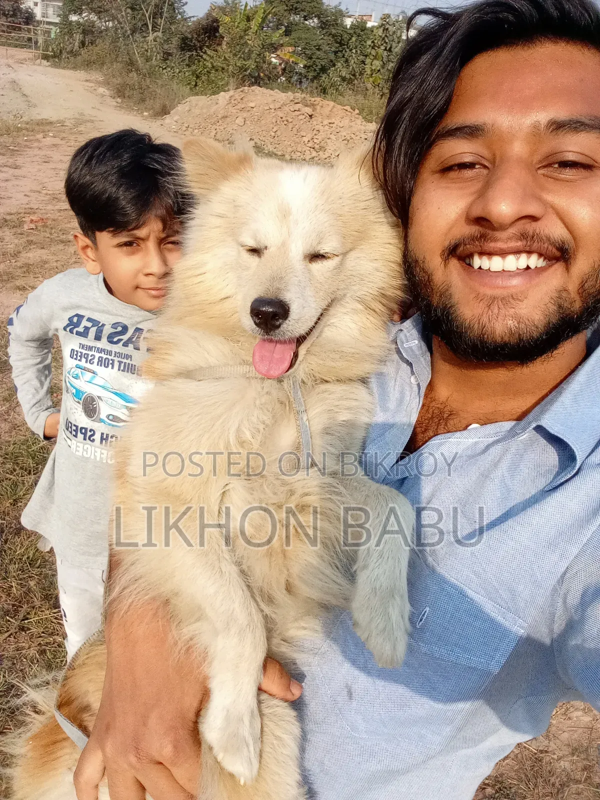 ১+ বছরের পুরুষ মিশ্র জাতের আমেরিকান ওয়াটার স্প্যানিয়েল