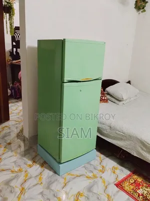 Singer Fridge