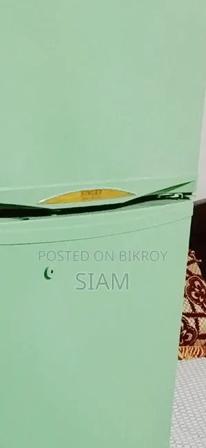 Singer Fridge
