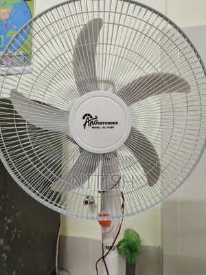 Dc Stand Fan