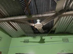 Two Ceiling Fans