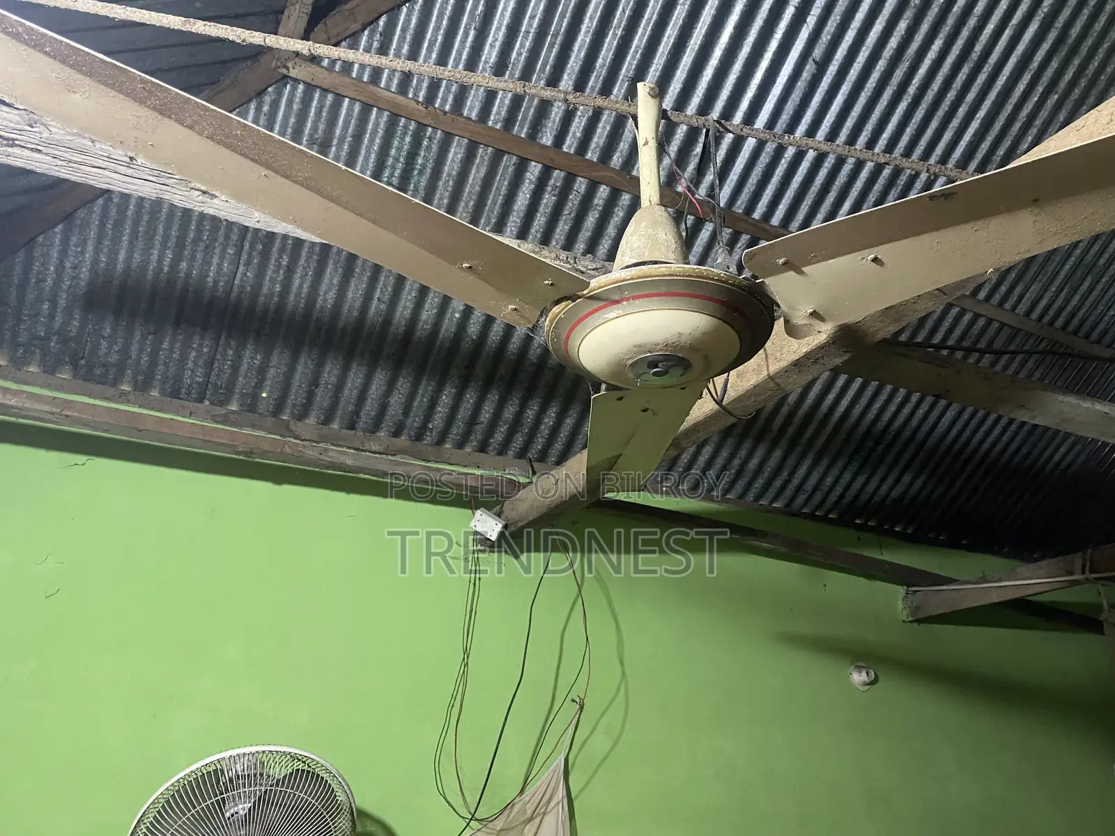 Two Ceiling Fans
