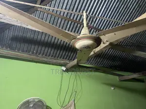 Two Ceiling Fans
