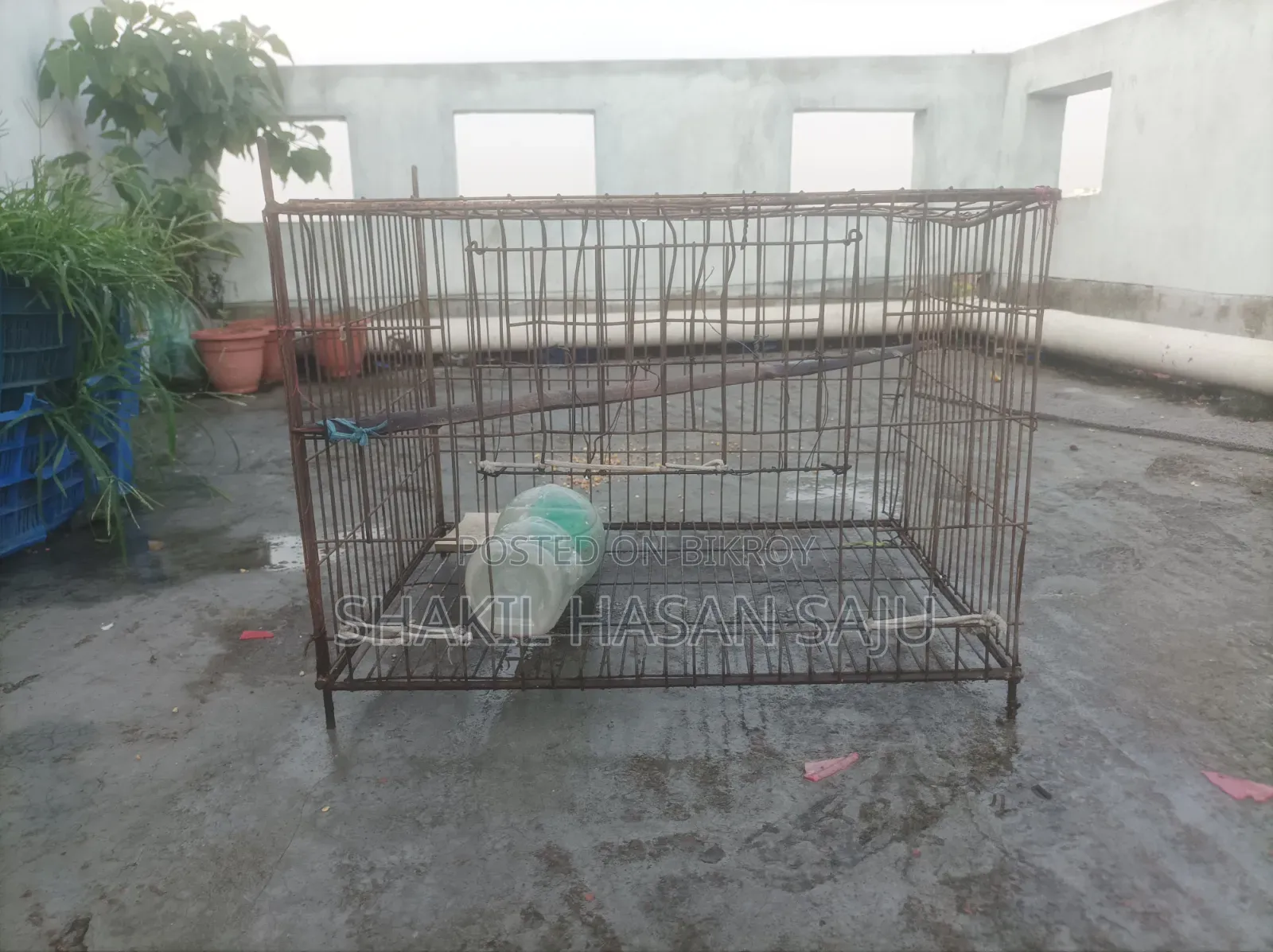 মুরগী ও কবুতরের খাচা