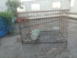মুরগী ও কবুতরের খাচা