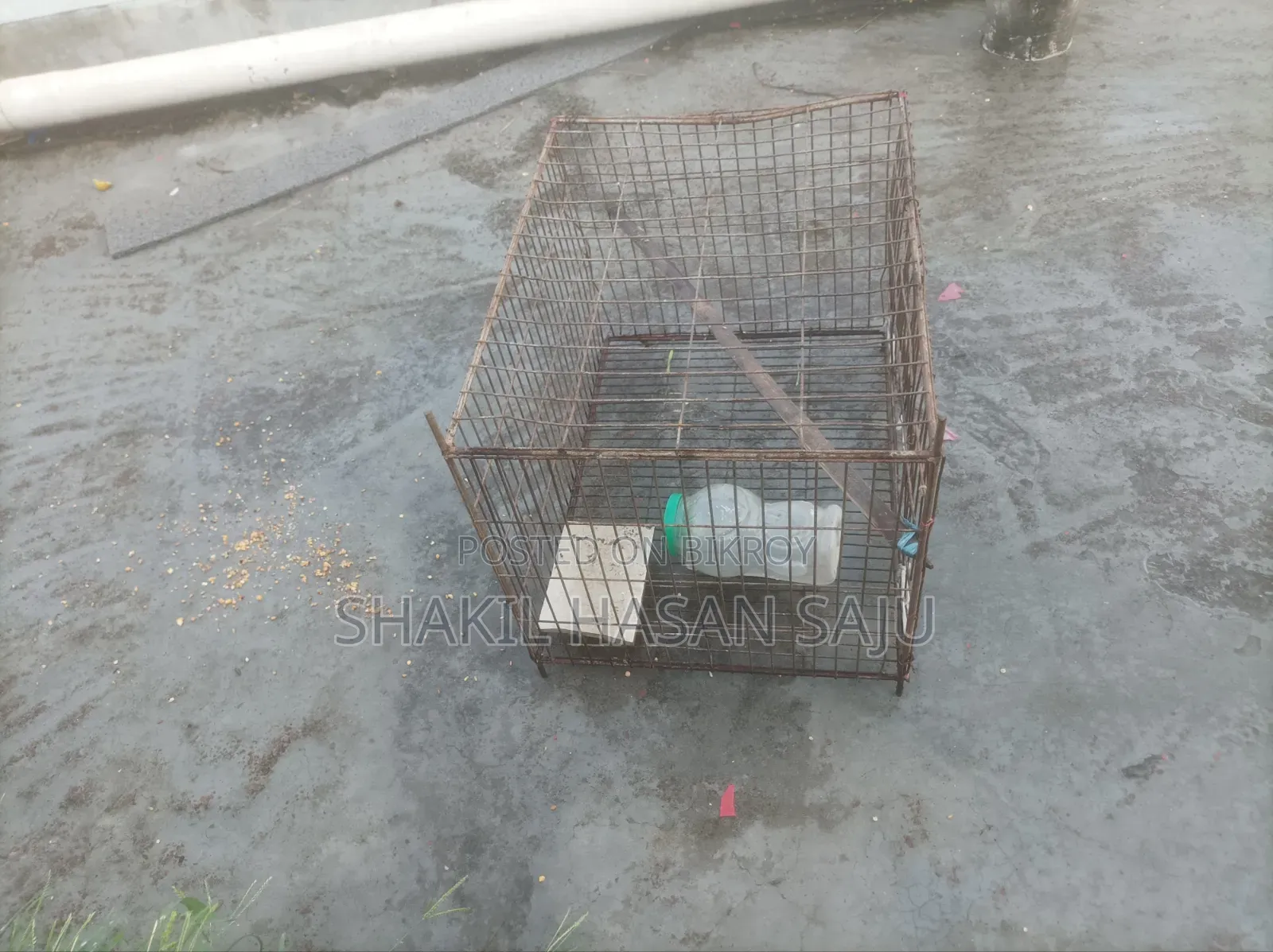 মুরগী ও কবুতরের খাচা