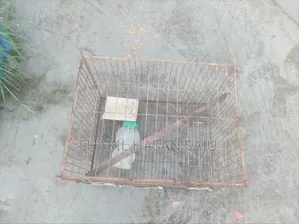 মুরগী ও কবুতরের খাচা