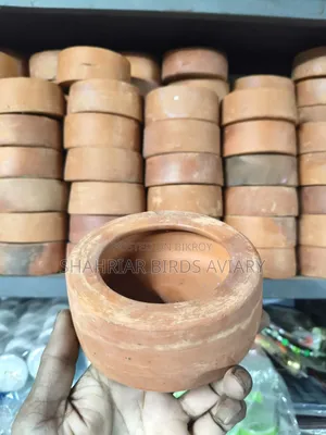 পাখির খাবারের মাটির পাত্র