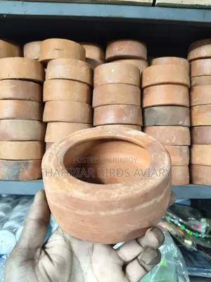 পাখির খাবারের মাটির পাত্র