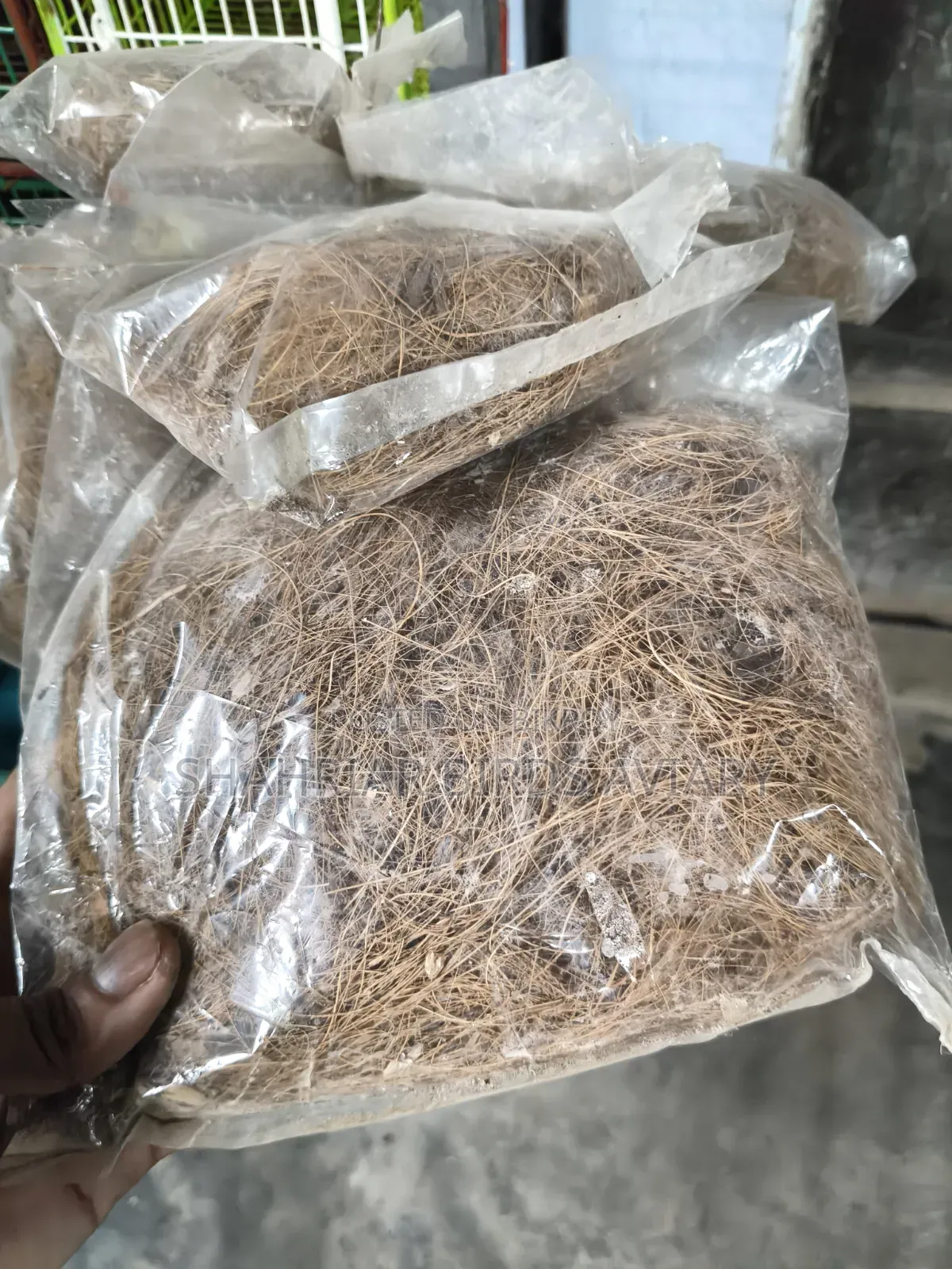 লাভবার্ড পাখির নেস্টিং মেটেরিয়াল