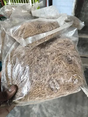 লাভবার্ড পাখির নেস্টিং মেটেরিয়াল