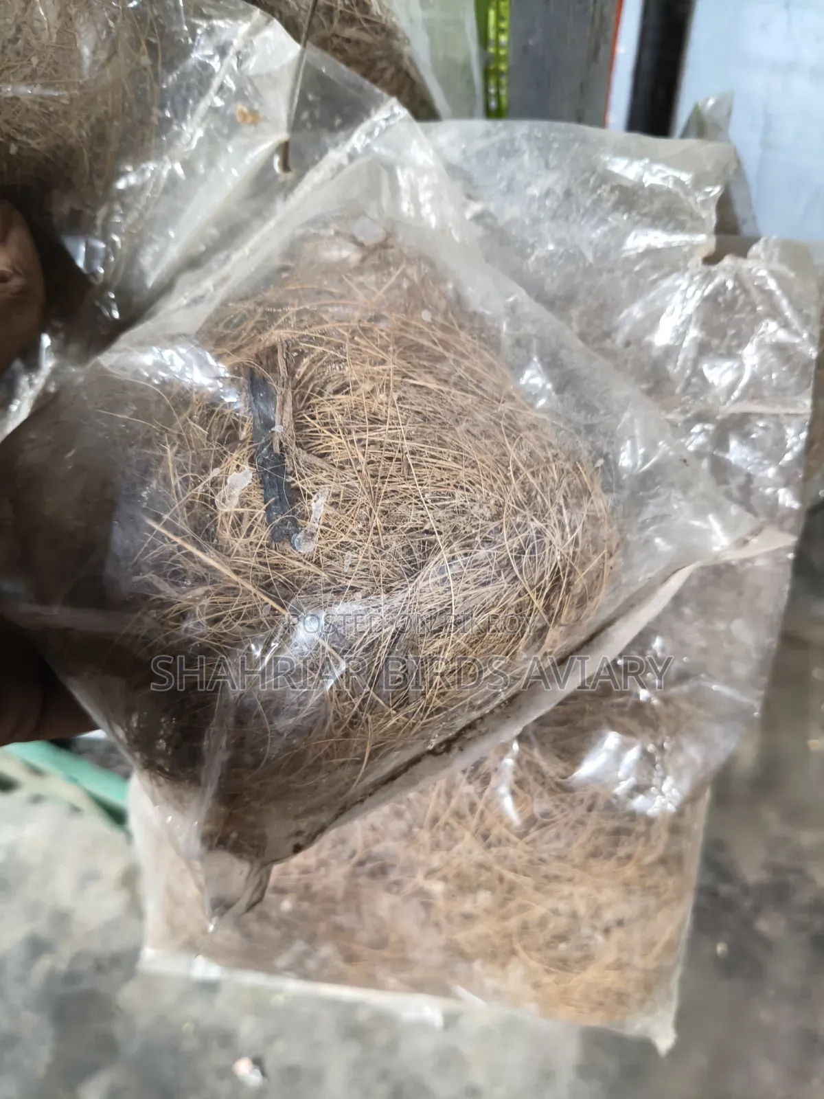 লাভবার্ড পাখির নেস্টিং মেটেরিয়াল