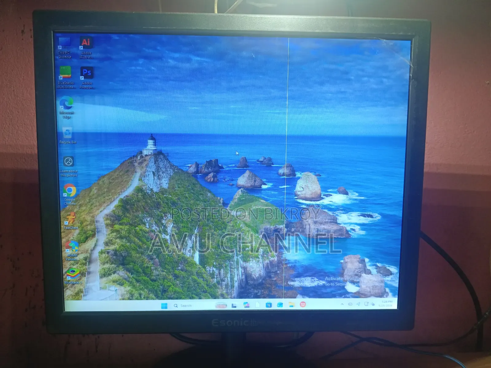 Esonic 18" Monitor