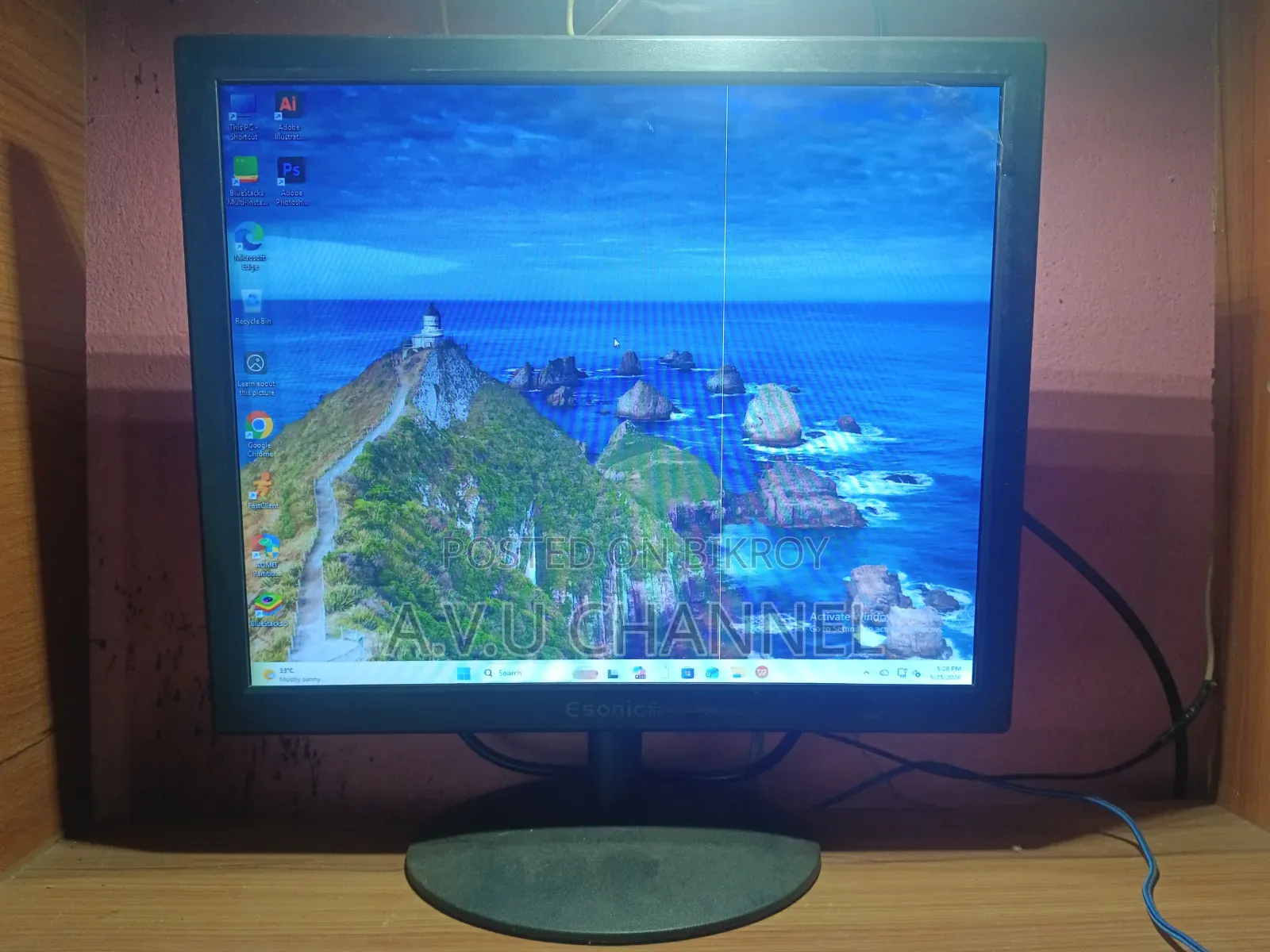 Esonic 18" Monitor