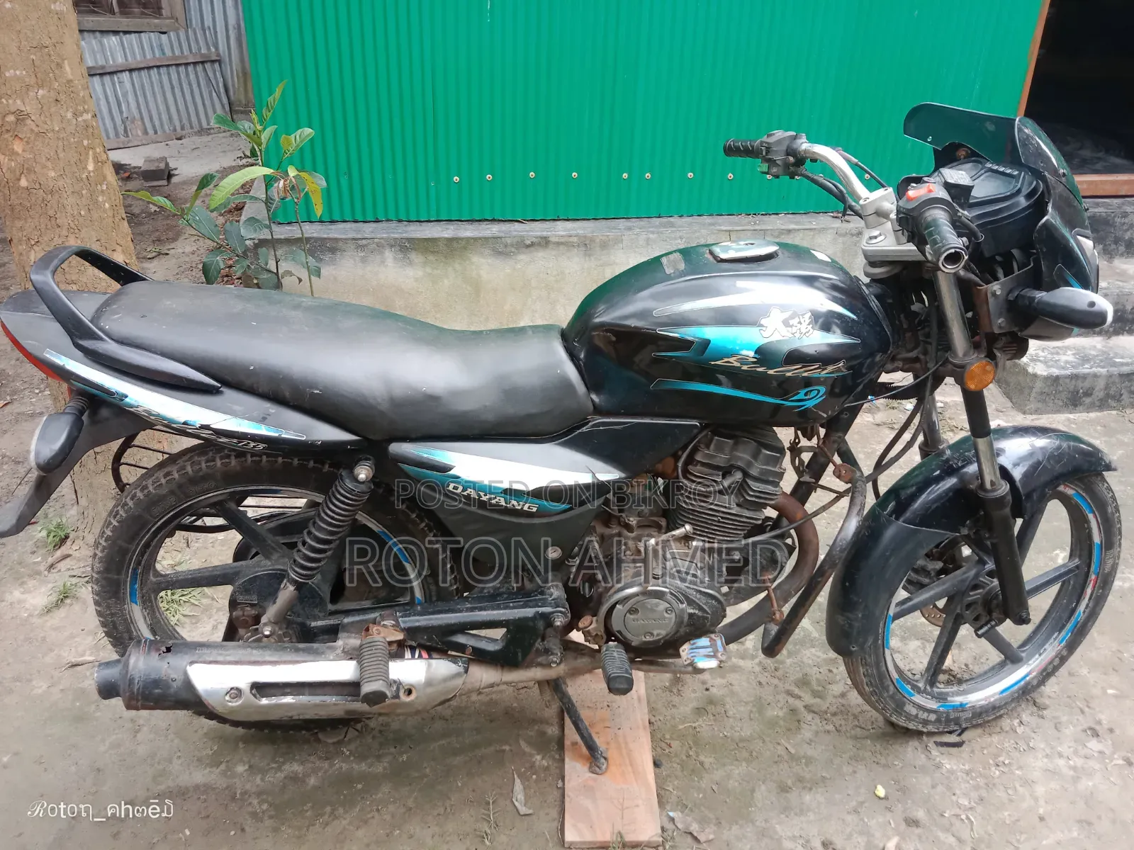 Dayang APOLLO 2022 Black