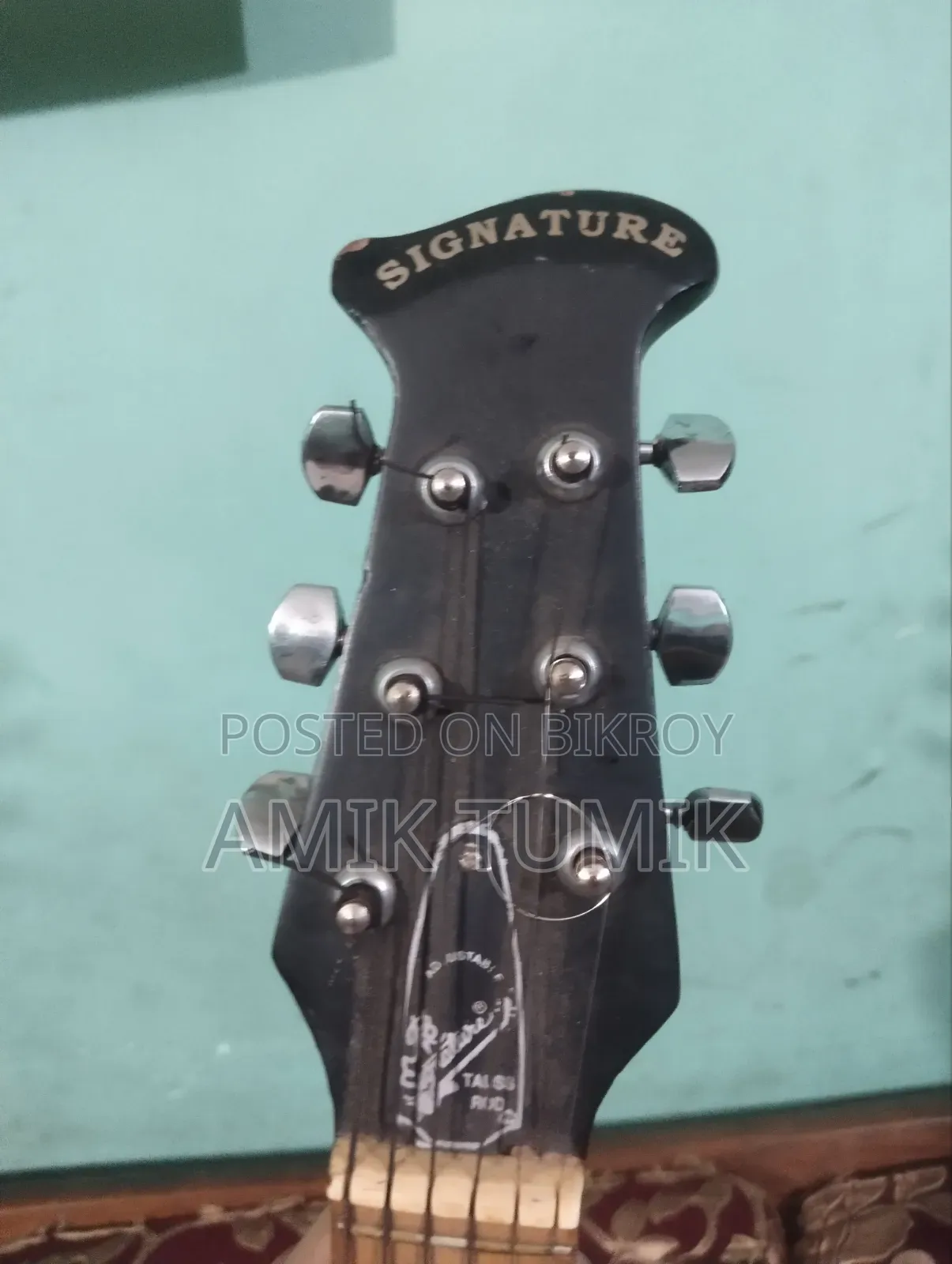 Signature Guitar